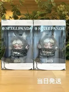 日本限定　SKULLPANDA × XG スカルパンダ　2個セット