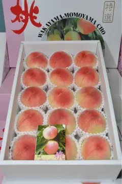 JA和歌山（紀の里 東部）紀の里の桃 『なつっこ』 赤秀 12玉 約4kg×2箱