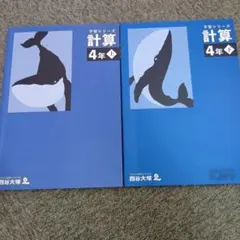 2026年最新】四谷大塚 予習シリーズ 4年の人気アイテム - メルカリ