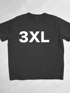3xl Tシャツ
