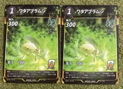 2026年最新】たぬきち商店の人気アイテム - メルカリ