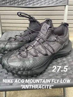 NIKE ACG MOUNTAIN FLY LOW "ANTHRACITE"のサムネイル