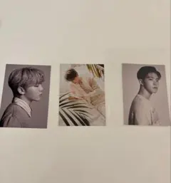 SEVENTEEN ポストカード まとめ売り ホシ、スングァン、ディノ