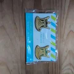 嵐ピンバッジ