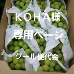 8️⃣ 山梨県シャインマスカットクール便