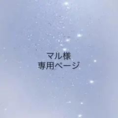専用ページ