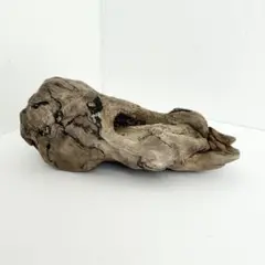 【37】アクアリウム流木