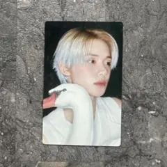 公式 TXT ヨンジュン Starkissed 通常盤・初回プレス 封入トレカ