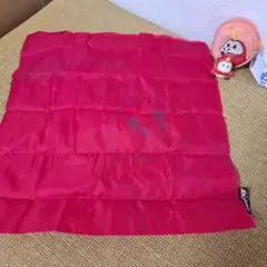 ポケモン ホゲータ エコバッグ ミニポーチ フィギュア