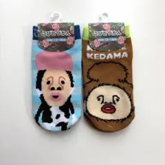 こびとづかん キッズ靴下 2足セット 13-18cm