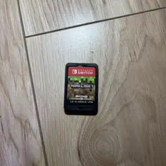Minecraft Nintendo Switch ソフト