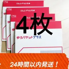 4箱　24時間以内発送 ゆうパケットプラス 専用箱 ダンボール　匿名配送