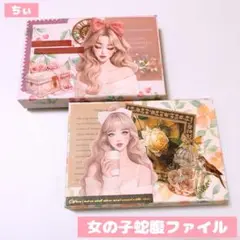 おすそ分け蛇腹ファイル 2点セット 女の子 コラージュ素材 紙もの 収納