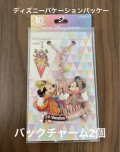 2025年最新】バケーションパッケージ 40周年 ディズニーの人気