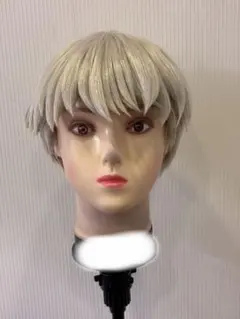 Dr.ストーン ドクターストーン 西園寺羽京 さいおんじうきょう