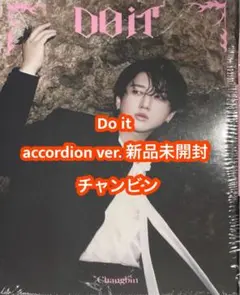 チャンビン 新品未開封 stray kids do it accodion c