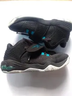 Item thumbnail for item 928102f3-5d7b-49c1-be31-734b2d05ae77