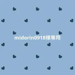 midorin0918様 リクエスト 2点 まとめ商品