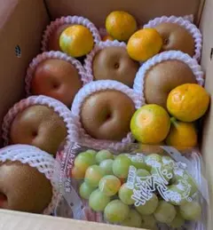 数量限定 食べ比べセット 高糖度黄金桃 伊豆錦 小島梨 恋空 りんご 梨