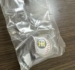 阪神タイガース ガチャガチャ　ミニサインボールキーホルダー坂本誠志郎