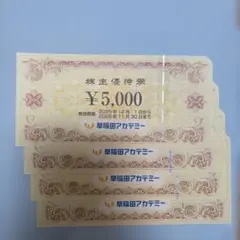 早稲田アカデミー　 　　　　株主優待券　20000円分