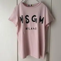 MSGM (エムエスジーエム) ブラッシュロゴ 半袖Tシャツ　ピンク　Mのサムネイル