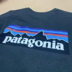 patagonia レギュラーフィット長袖Tシャツ　ブラック