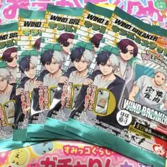 WIND BREAKER キラぷるステッカー　5枚セット★未開封★