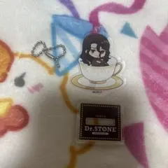 Dr.STONE ドクスト 司 amo カフェ アクキー アクスタ