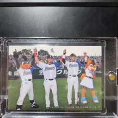 2014年 カルビー プロ野球カード 北海道日本ハムファイターズ