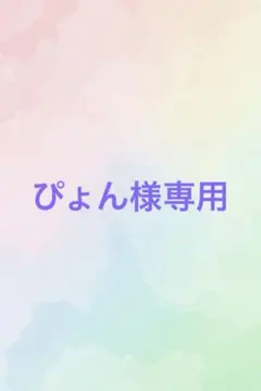 ぴょん様専用ページ