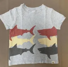 baby GAP サメプリント Tシャツ 18-24ヶ月