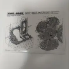 Item thumbnail for item c06a727f-5bd6-4593-a6b7-dcad98bf37db