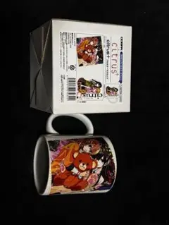 citrus マグカップ セット
