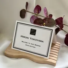 Item thumbnail for item 00b3f15c-ab00-4bba-b396-06174e28c820