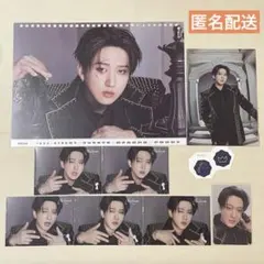 【即購入可】FORCE 日本 シーグリ 2026 セット チャンビン