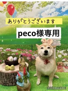 peco様専用　4重ガーゼハンカチ