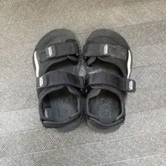 Item thumbnail for item 10563819-5d78-4aa5-aa3e-ef4b3a69a1b1