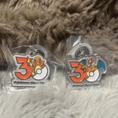 ポケモン30周年 メタルチャームマスコット ヒトカゲ＆リザードン