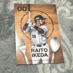 Item thumbnail for item 6dd9c44e-51ef-455e-9287-6dff3944fa4d