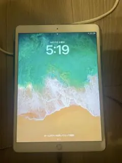 iPadPro (10.5インチ)Wi-Fi 256GB