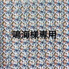 WhiteTails ワイテルズ nakamu 札幌 缶バッジ 86点 - メルカリ