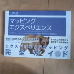 マッピングエクスペリエンス カスタマージャーニー、サービスブループリント、その…