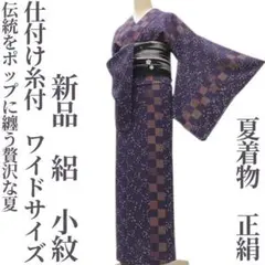 ゆめsaku 美品 夏着物 絹交織 “流麗な透け感” 手縫い 紗紬 P-222 