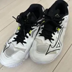 ミント様m(_ _)m。MIZUNO バレーボールシューズ V1GX235500 - メルカリ