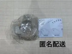 うちの子のけだまだま 犬　黒柴