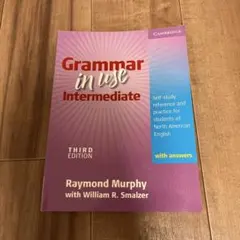 Grammar in Use Intermediate third edtion