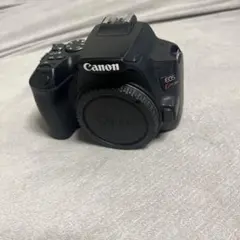 【ジャンク品】Canon EOS Kiss 一眼レフフィルムカメラ 2026年最新】canon eos kiss ジャンクの人気アイテム - メルカリ