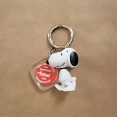 HOWIE USED Keyring スヌーピー キーリング