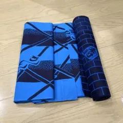 Item thumbnail for item e422cd58-1b98-41af-83b4-cb7f8460e1d3